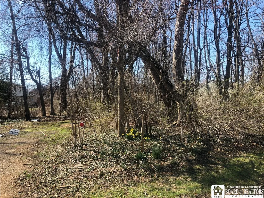 00 Middlesex Drive, Pomfret, New York 14063, Pomfret, New York 14063, ,Land,For Sale,00 Middlesex Drive, Pomfret, New York 14063,0,R1627412
