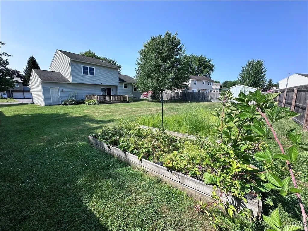 Back of Home 7 Raised Garden Beds