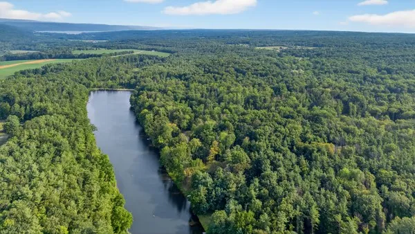 2351 Pine Lake Road, Jerusalem, New York 14527, Jerusalem, New York 14527, 2 Bedrooms Bedrooms, 5 Rooms Rooms,1 BathroomBathrooms,Residential,Closed,2351 Pine Lake Road, Jerusalem, New York 14527,0,R1626878