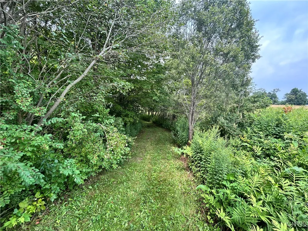 505 Vorea Road, Boylston, New York 13083, Boylston, New York 13083, 3 Bedrooms Bedrooms, 7 Rooms Rooms,2 BathroomsBathrooms,Residential,For Sale,505 Vorea Road, Boylston, New York 13083,S1614717