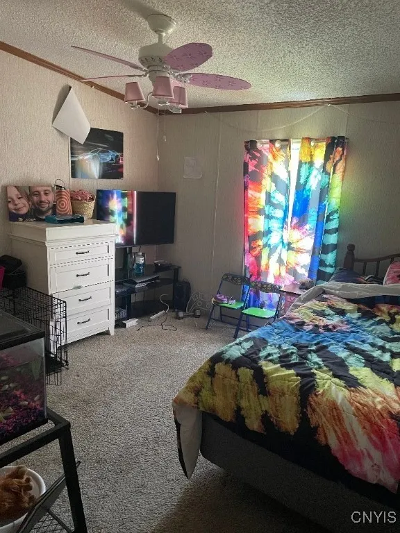 2523 Us Route 11, Mexico, New York 13131, Mexico, New York 13131, 3 Bedrooms Bedrooms, 6 Rooms Rooms,2 BathroomsBathrooms,Residential,For Sale,2523 Us Route 11, Mexico, New York 13131,0,S1627719