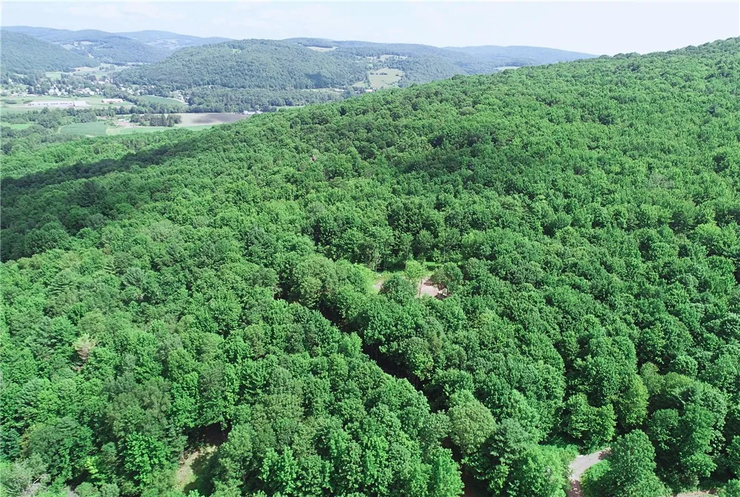 16.1 & 16.2 Scutt Mtn Road, Stamford, New York, Stamford, New York 13739, ,Land,For Sale,16.1 & 16.2 Scutt Mtn Road, Stamford, New York,R1627725