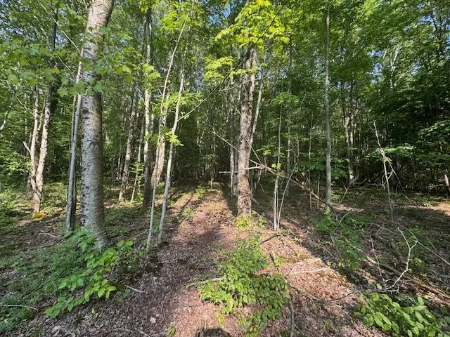 16.1 & 16.2 Scutt Mtn Road, Stamford, New York, Stamford, New York 13739, ,Land,For Sale,16.1 & 16.2 Scutt Mtn Road, Stamford, New York,R1627725