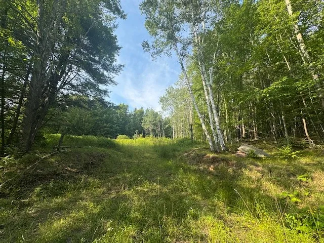 16.1 & 16.2 Scutt Mtn Road, Stamford, New York, Stamford, New York 13739, ,Land,For Sale,16.1 & 16.2 Scutt Mtn Road, Stamford, New York,R1627725
