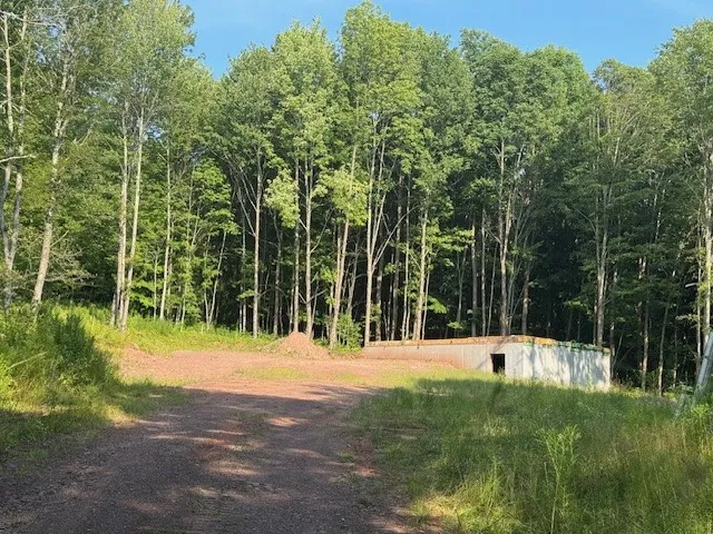 16.1 & 16.2 Scutt Mtn Road, Stamford, New York, Stamford, New York 13739, ,Land,For Sale,16.1 & 16.2 Scutt Mtn Road, Stamford, New York,R1627725