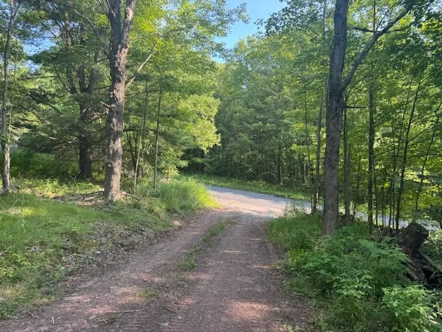 16.1 & 16.2 Scutt Mtn Road, Stamford, New York, Stamford, New York 13739, ,Land,For Sale,16.1 & 16.2 Scutt Mtn Road, Stamford, New York,R1627725