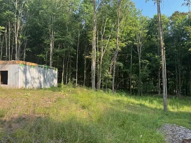 16.1 & 16.2 Scutt Mtn Road, Stamford, New York, Stamford, New York 13739, ,Land,For Sale,16.1 & 16.2 Scutt Mtn Road, Stamford, New York,R1627725