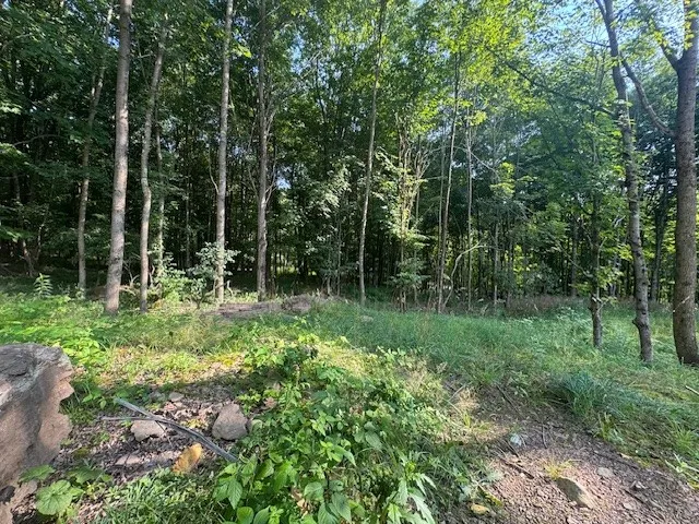 16.1 & 16.2 Scutt Mtn Road, Stamford, New York, Stamford, New York 13739, ,Land,For Sale,16.1 & 16.2 Scutt Mtn Road, Stamford, New York,R1627725
