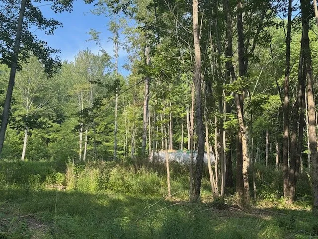 16.1 & 16.2 Scutt Mtn Road, Stamford, New York, Stamford, New York 13739, ,Land,For Sale,16.1 & 16.2 Scutt Mtn Road, Stamford, New York,R1627725