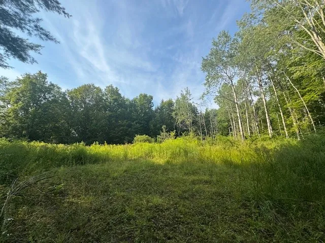 16.1 & 16.2 Scutt Mtn Road, Stamford, New York, Stamford, New York 13739, ,Land,For Sale,16.1 & 16.2 Scutt Mtn Road, Stamford, New York,R1627725
