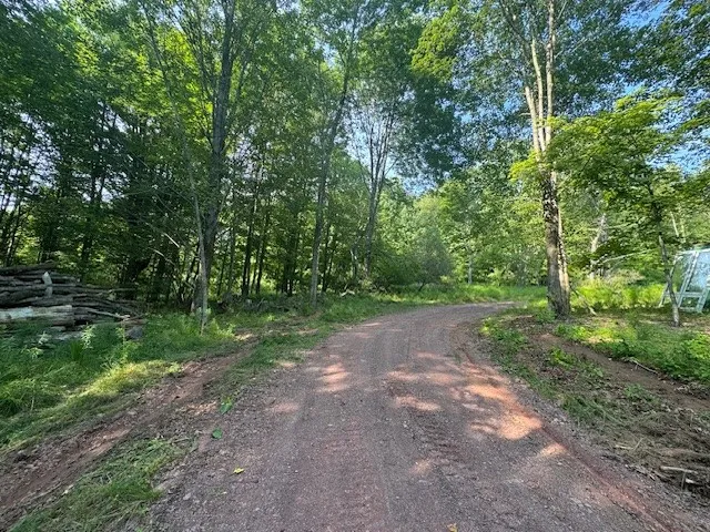 16.1 & 16.2 Scutt Mtn Road, Stamford, New York, Stamford, New York 13739, ,Land,For Sale,16.1 & 16.2 Scutt Mtn Road, Stamford, New York,R1627725