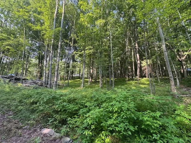 16.1 & 16.2 Scutt Mtn Road, Stamford, New York, Stamford, New York 13739, ,Land,For Sale,16.1 & 16.2 Scutt Mtn Road, Stamford, New York,R1627725