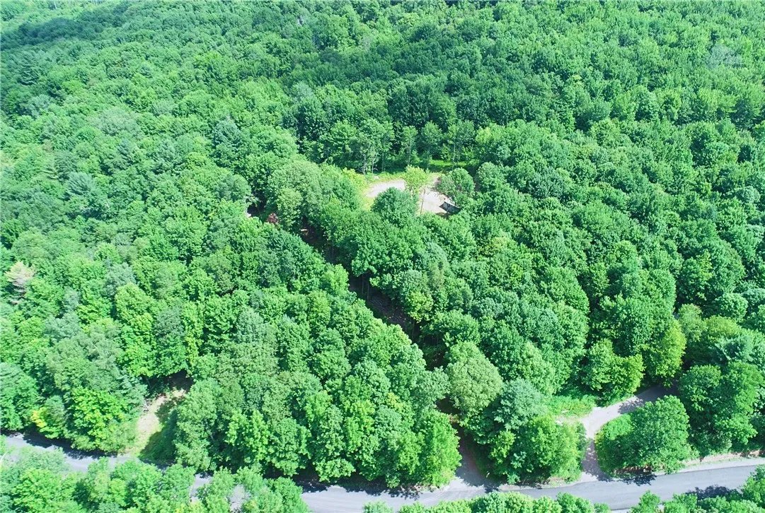 16.1 & 16.2 Scutt Mtn Road, Stamford, New York, Stamford, New York 13739, ,Land,For Sale,16.1 & 16.2 Scutt Mtn Road, Stamford, New York,R1627725