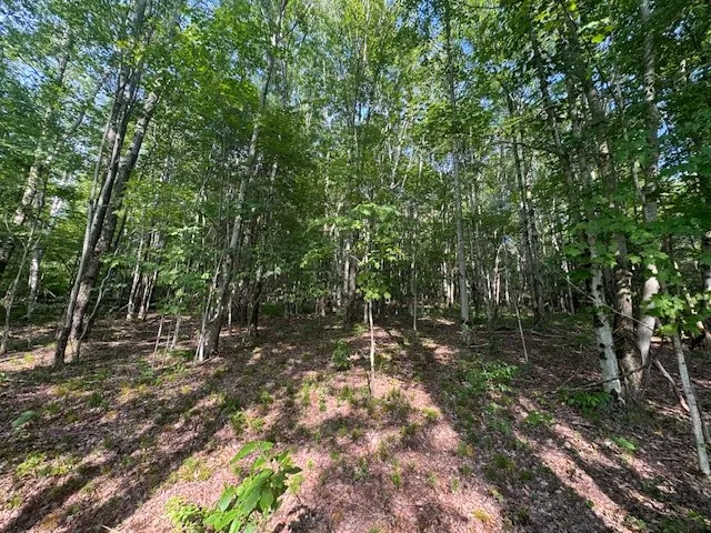 16.1 & 16.2 Scutt Mtn Road, Stamford, New York, Stamford, New York 13739, ,Land,For Sale,16.1 & 16.2 Scutt Mtn Road, Stamford, New York,R1627725