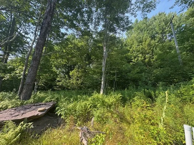 16.1 & 16.2 Scutt Mtn Road, Stamford, New York, Stamford, New York 13739, ,Land,For Sale,16.1 & 16.2 Scutt Mtn Road, Stamford, New York,R1627725