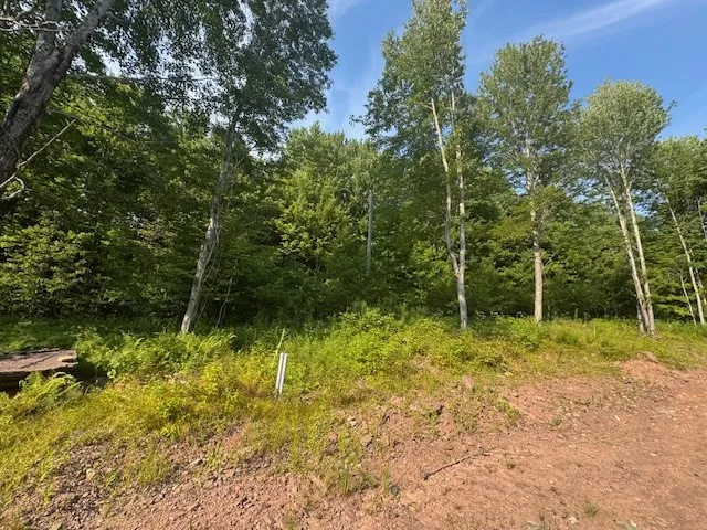 16.1 & 16.2 Scutt Mtn Road, Stamford, New York, Stamford, New York 13739, ,Land,For Sale,16.1 & 16.2 Scutt Mtn Road, Stamford, New York,R1627725