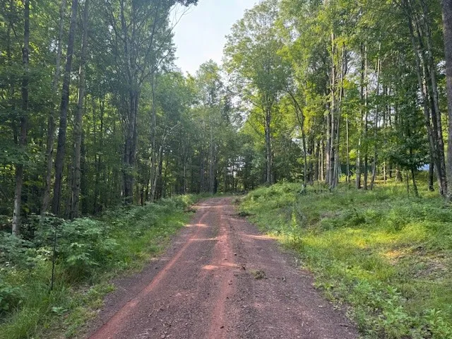 16.1 & 16.2 Scutt Mtn Road, Stamford, New York, Stamford, New York 13739, ,Land,For Sale,16.1 & 16.2 Scutt Mtn Road, Stamford, New York,R1627725