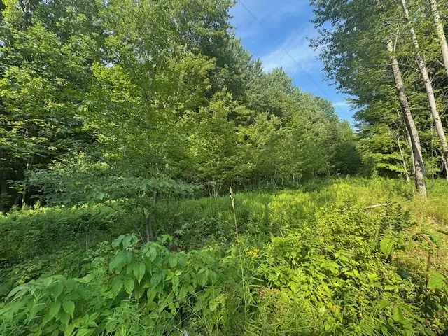 16.1 & 16.2 Scutt Mtn Road, Stamford, New York, Stamford, New York 13739, ,Land,For Sale,16.1 & 16.2 Scutt Mtn Road, Stamford, New York,R1627725