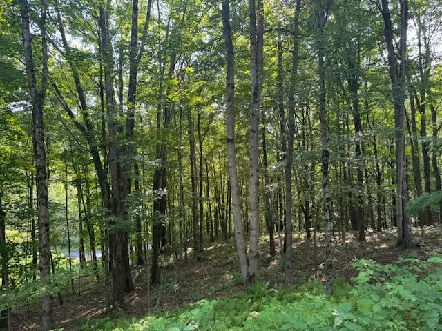 16.1 & 16.2 Scutt Mtn Road, Stamford, New York, Stamford, New York 13739, ,Land,For Sale,16.1 & 16.2 Scutt Mtn Road, Stamford, New York,R1627725