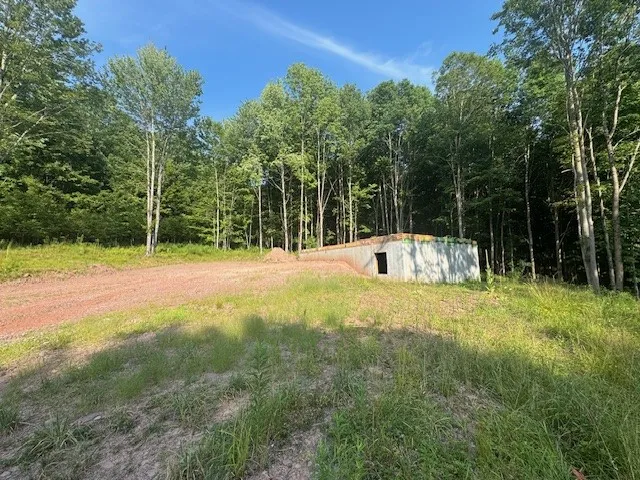 16.1 & 16.2 Scutt Mtn Road, Stamford, New York, Stamford, New York 13739, ,Land,For Sale,16.1 & 16.2 Scutt Mtn Road, Stamford, New York,R1627725