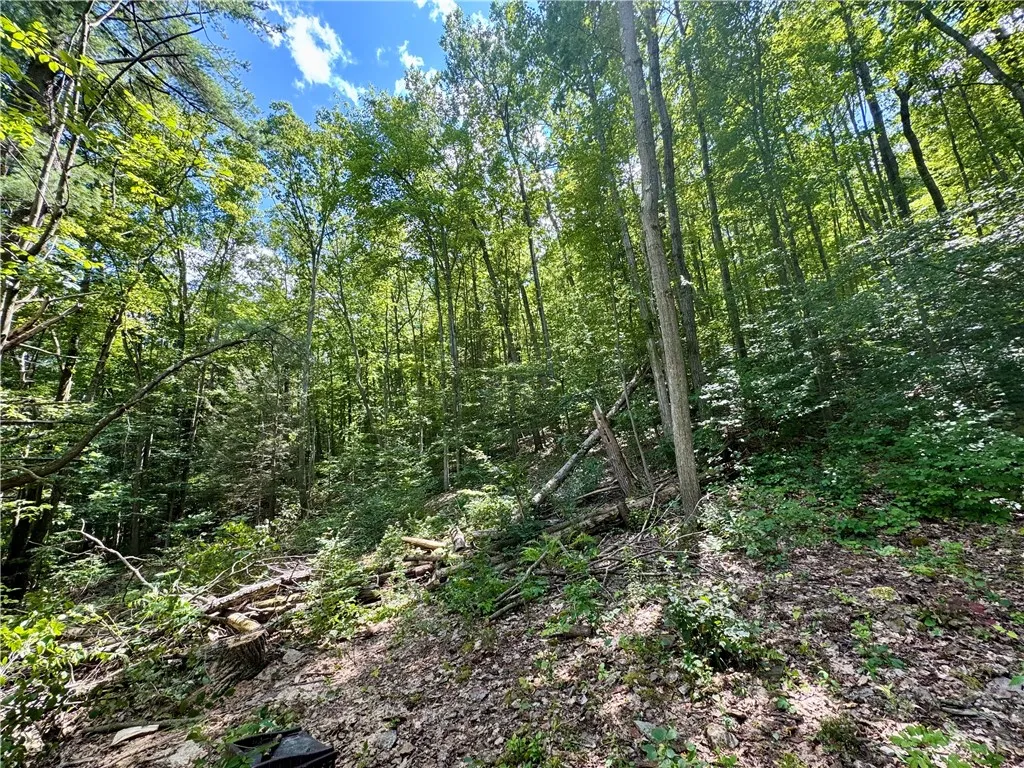 0 Breed Hollow Road, Catlin, New York 14830, Catlin, New York 14830, ,Land,For Sale,0 Breed Hollow Road, Catlin, New York 14830,R1625163