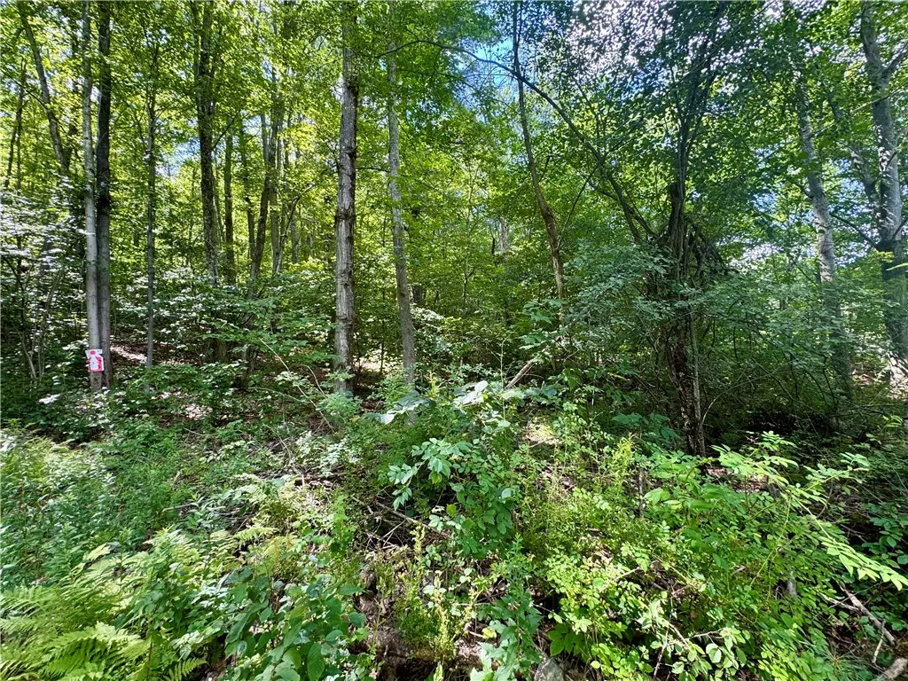 0 Breed Hollow Road, Catlin, New York 14830, Catlin, New York 14830, ,Land,For Sale,0 Breed Hollow Road, Catlin, New York 14830,R1625163