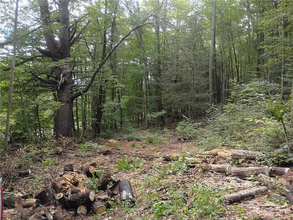 0 Breed Hollow Road, Catlin, New York 14830, Catlin, New York 14830, ,Land,For Sale,0 Breed Hollow Road, Catlin, New York 14830,R1625163