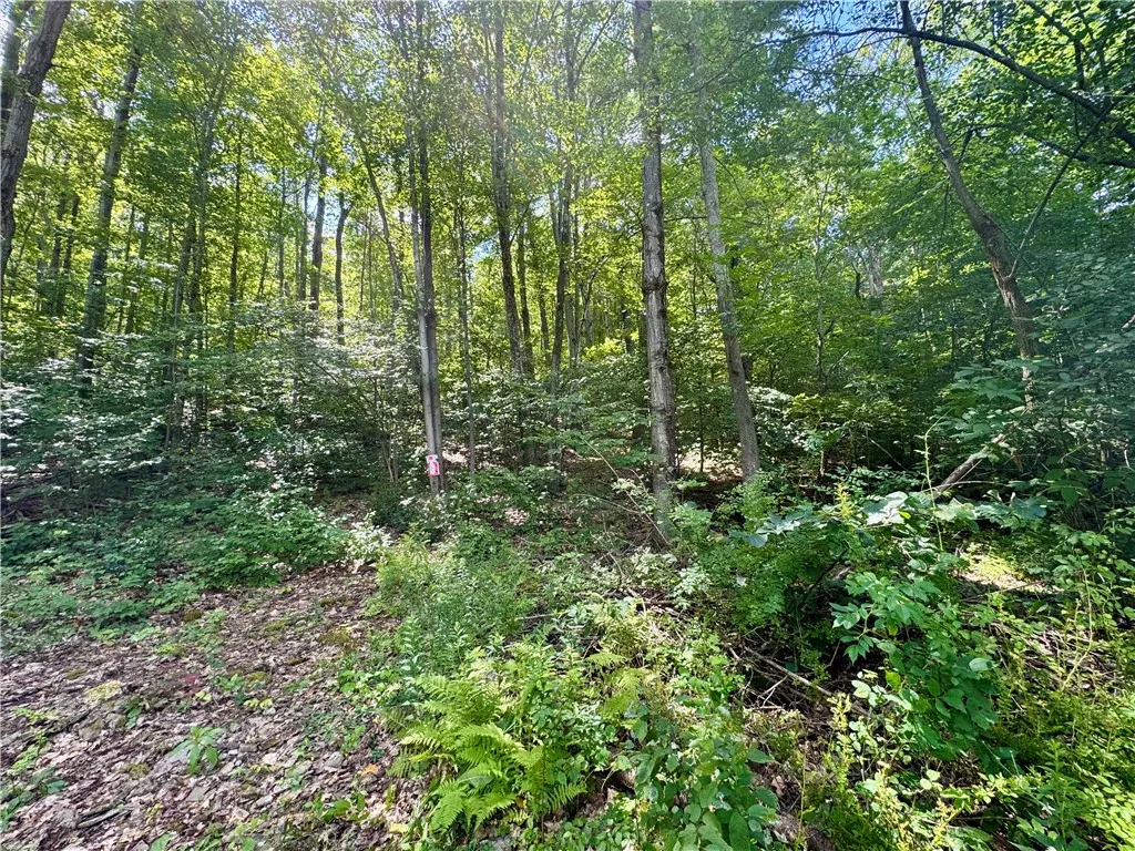 0 Breed Hollow Road, Catlin, New York 14830, Catlin, New York 14830, ,Land,For Sale,0 Breed Hollow Road, Catlin, New York 14830,R1625163