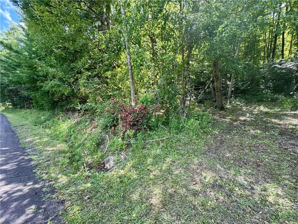 0 Breed Hollow Road, Catlin, New York 14830, Catlin, New York 14830, ,Land,For Sale,0 Breed Hollow Road, Catlin, New York 14830,R1625163