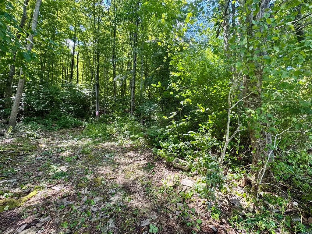 0 Breed Hollow Road, Catlin, New York 14830, Catlin, New York 14830, ,Land,For Sale,0 Breed Hollow Road, Catlin, New York 14830,R1625163