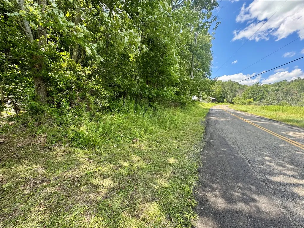 0 Breed Hollow Road, Catlin, New York 14830, Catlin, New York 14830, ,Land,For Sale,0 Breed Hollow Road, Catlin, New York 14830,R1625163