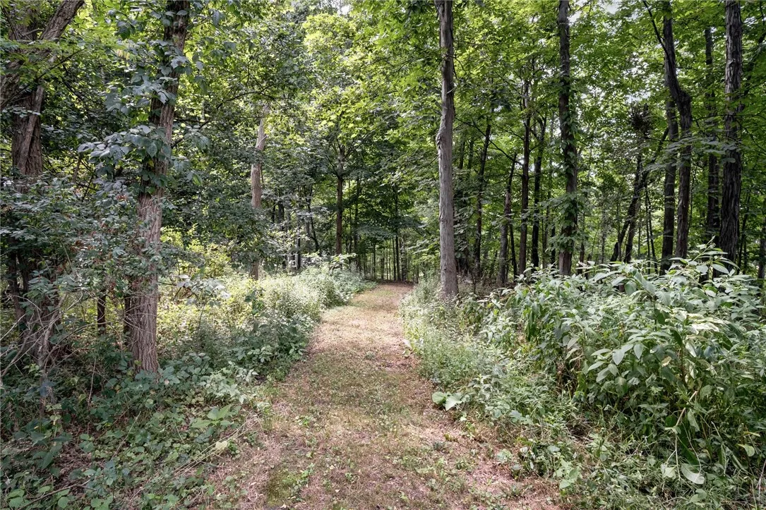 389 Sheldon Road, Mendon, New York 14472, Mendon, New York 14472, 3 Bedrooms Bedrooms, 7 Rooms Rooms,2 BathroomsBathrooms,Residential,Closed,389 Sheldon Road, Mendon, New York 14472,0,R1626841