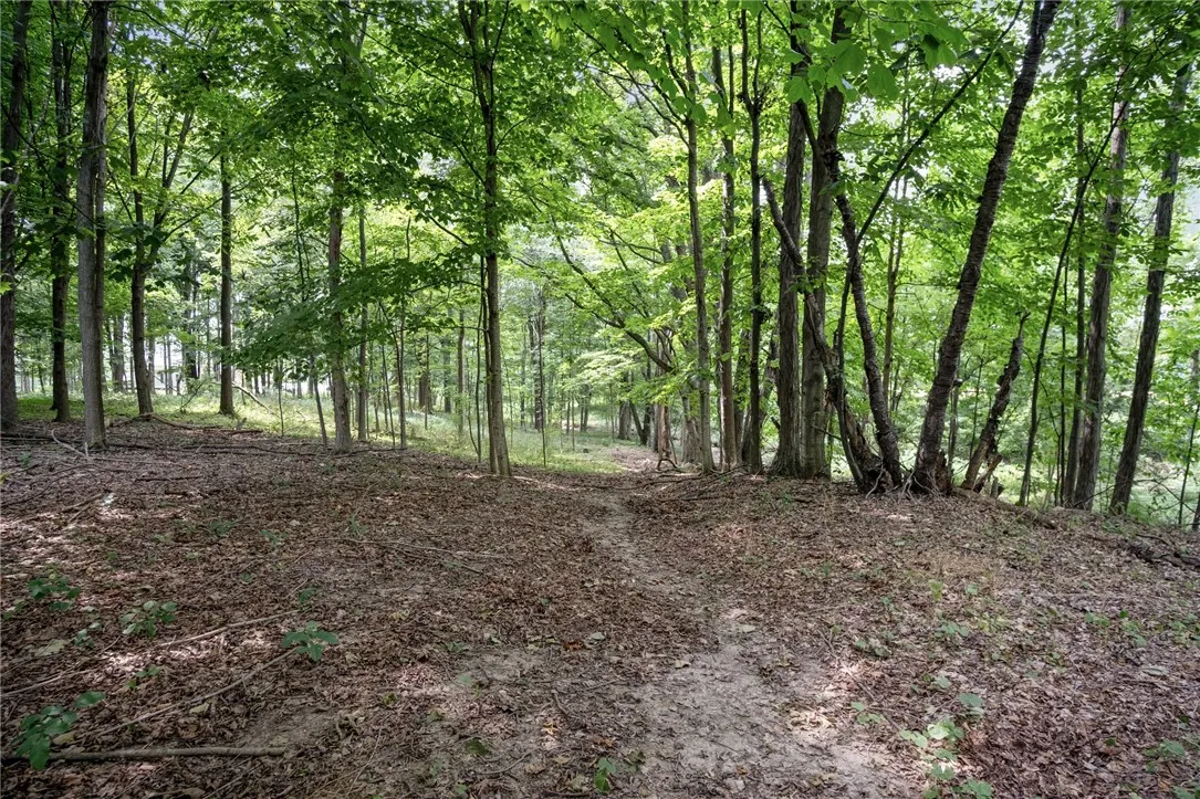 389 Sheldon Road, Mendon, New York 14472, Mendon, New York 14472, 3 Bedrooms Bedrooms, 7 Rooms Rooms,2 BathroomsBathrooms,Residential,Closed,389 Sheldon Road, Mendon, New York 14472,0,R1626841