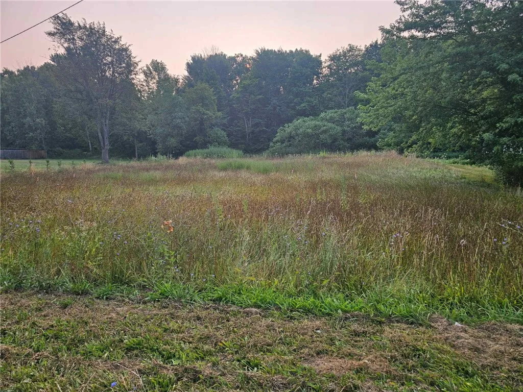 7098 Furnace Road, Ontario, New York 14519, Ontario, New York 14519, ,Land,Closed,7098 Furnace Road, Ontario, New York 14519,0,R1627821