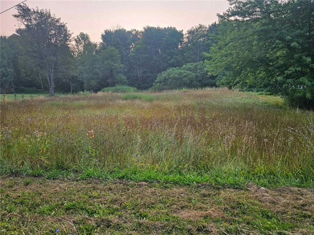 7098 Furnace Road, Ontario, New York 14519, Ontario, New York 14519, ,Land,Closed,7098 Furnace Road, Ontario, New York 14519,0,R1627821