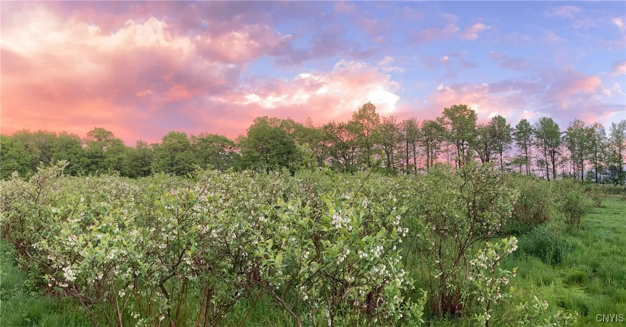 486 Jackson Hill Road, Greene, New York 13746, Greene, New York 13746, 4 Bedrooms Bedrooms, 8 Rooms Rooms,2 BathroomsBathrooms,Residential,Closed,486 Jackson Hill Road, Greene, New York 13746,0,S1626002