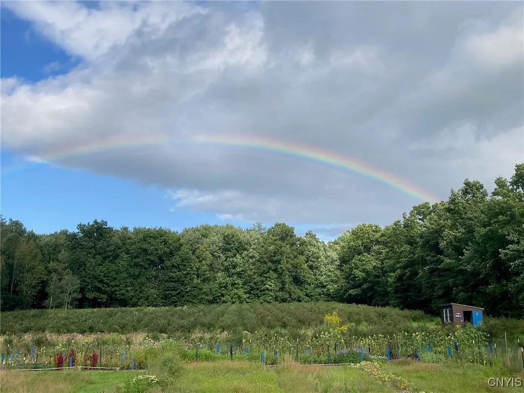 486 Jackson Hill Road, Greene, New York 13746, Greene, New York 13746, 4 Bedrooms Bedrooms, 8 Rooms Rooms,2 BathroomsBathrooms,Residential,Closed,486 Jackson Hill Road, Greene, New York 13746,0,S1626002