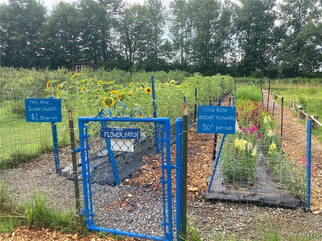 486 Jackson Hill Road, Greene, New York 13746, Greene, New York 13746, 4 Bedrooms Bedrooms, 8 Rooms Rooms,2 BathroomsBathrooms,Residential,Closed,486 Jackson Hill Road, Greene, New York 13746,0,S1626002