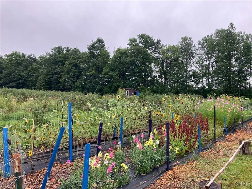 486 Jackson Hill Road, Greene, New York 13746, Greene, New York 13746, 4 Bedrooms Bedrooms, 8 Rooms Rooms,2 BathroomsBathrooms,Residential,Closed,486 Jackson Hill Road, Greene, New York 13746,0,S1626002