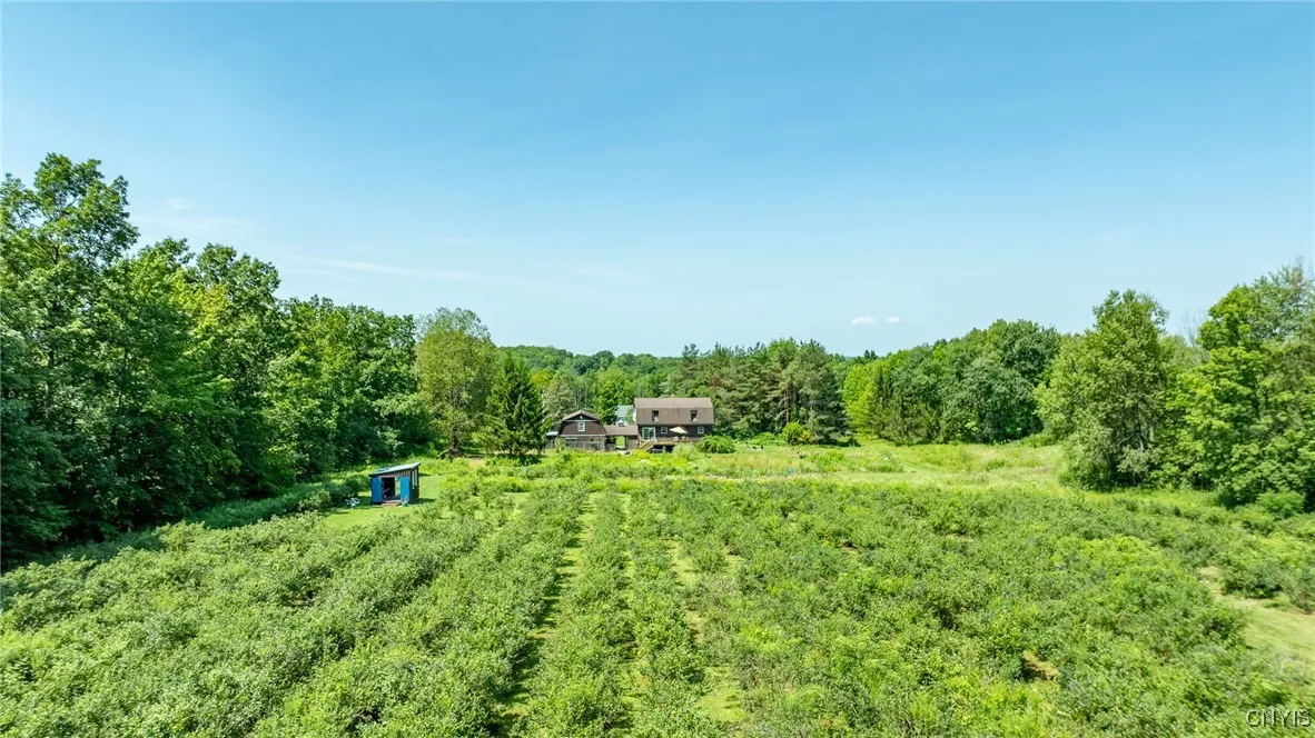 486 Jackson Hill Road, Greene, New York 13746, Greene, New York 13746, 4 Bedrooms Bedrooms, 8 Rooms Rooms,2 BathroomsBathrooms,Residential,Closed,486 Jackson Hill Road, Greene, New York 13746,0,S1626002