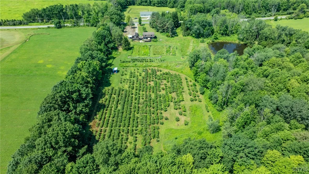 This beautiful property includes a home and 2 acres of blueberries