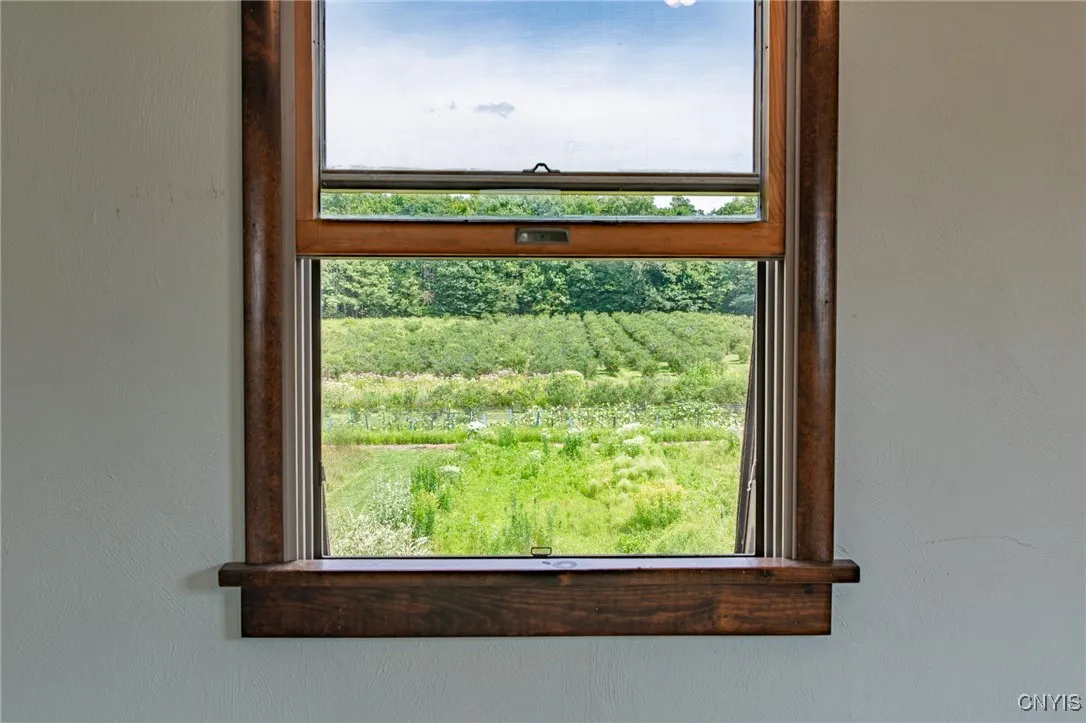 Enjoy views of the blueberries