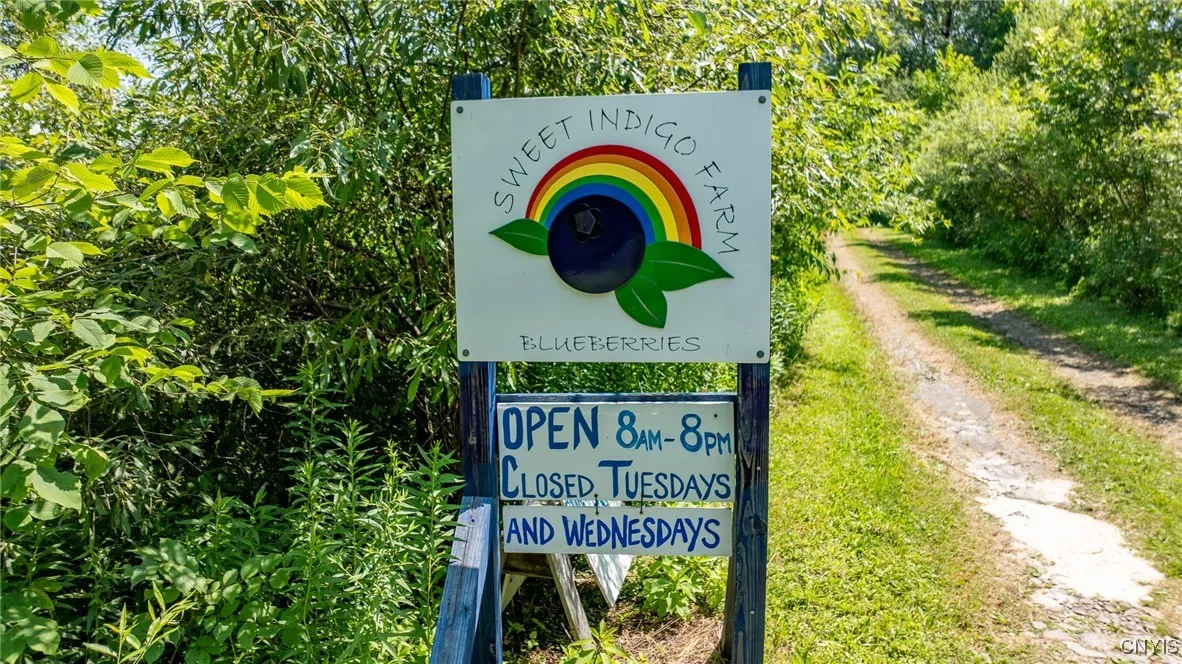 486 Jackson Hill Road, Greene, New York 13746, Greene, New York 13746, 4 Bedrooms Bedrooms, 8 Rooms Rooms,2 BathroomsBathrooms,Residential,Closed,486 Jackson Hill Road, Greene, New York 13746,0,S1626002