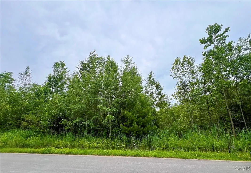 Lot 19 Forest Ridge Drive, Rome, New York 13440, Rome, New York 13440, ,Land,For Sale,Lot 19 Forest Ridge Drive, Rome, New York 13440,0,S1627706