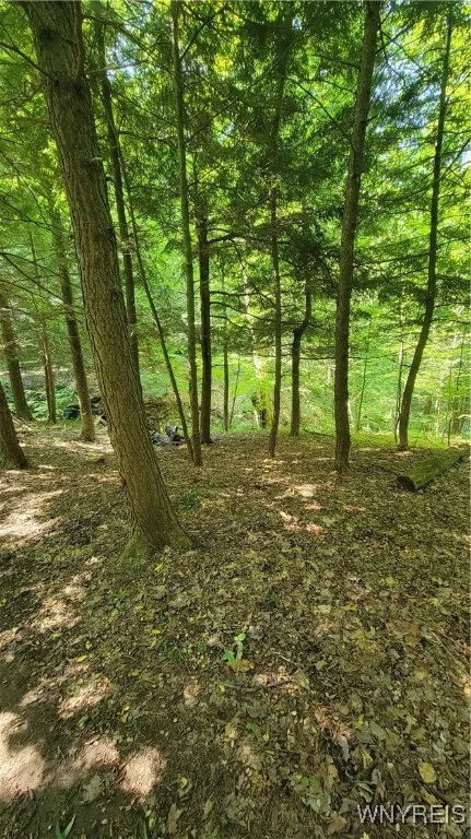 7181 Ridge Road, Stockton, New York 14718, Stockton, New York 14718, 3 Bedrooms Bedrooms, 7 Rooms Rooms,1 BathroomBathrooms,Residential,Closed,7181 Ridge Road, Stockton, New York 14718,0,B1627801