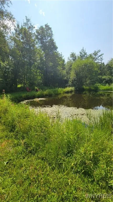 7181 Ridge Road, Stockton, New York 14718, Stockton, New York 14718, 3 Bedrooms Bedrooms, 7 Rooms Rooms,1 BathroomBathrooms,Residential,Closed,7181 Ridge Road, Stockton, New York 14718,0,B1627801