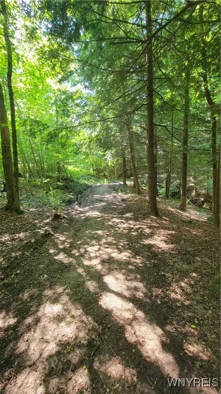 7181 Ridge Road, Stockton, New York 14718, Stockton, New York 14718, 3 Bedrooms Bedrooms, 7 Rooms Rooms,1 BathroomBathrooms,Residential,Closed,7181 Ridge Road, Stockton, New York 14718,0,B1627801