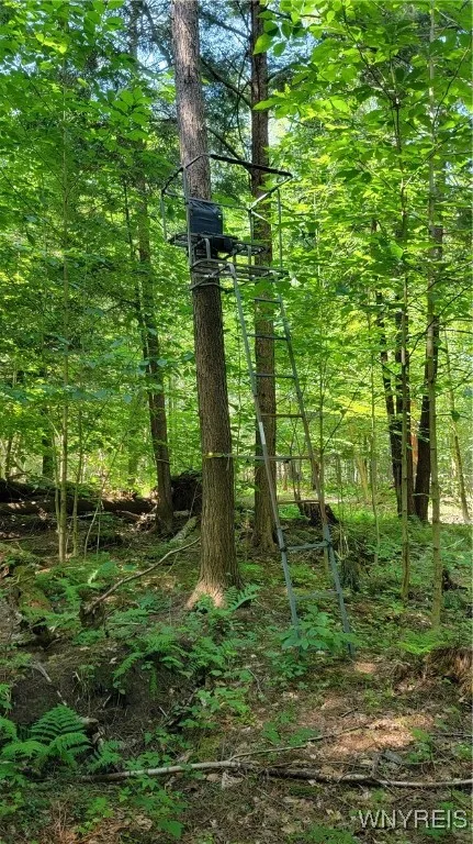 7181 Ridge Road, Stockton, New York 14718, Stockton, New York 14718, 3 Bedrooms Bedrooms, 7 Rooms Rooms,1 BathroomBathrooms,Residential,Closed,7181 Ridge Road, Stockton, New York 14718,0,B1627801