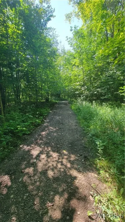 7181 Ridge Road, Stockton, New York 14718, Stockton, New York 14718, 3 Bedrooms Bedrooms, 7 Rooms Rooms,1 BathroomBathrooms,Residential,Closed,7181 Ridge Road, Stockton, New York 14718,0,B1627801