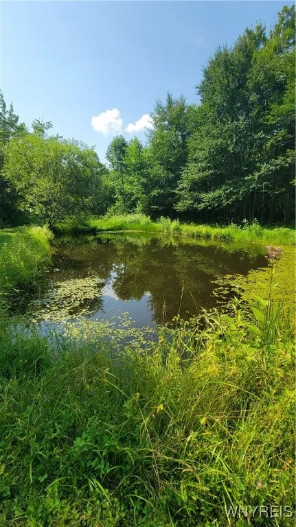 7181 Ridge Road, Stockton, New York 14718, Stockton, New York 14718, 3 Bedrooms Bedrooms, 7 Rooms Rooms,1 BathroomBathrooms,Residential,Closed,7181 Ridge Road, Stockton, New York 14718,0,B1627801